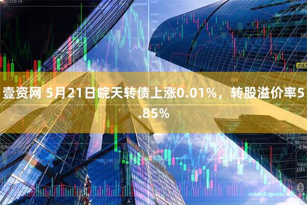 壹资网 5月21日皖天转债上涨0.01%，转股溢价率5.85%
