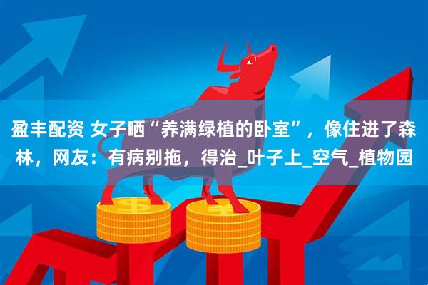 盈丰配资 女子晒“养满绿植的卧室”，像住进了森林，网友：有病别拖，得治_叶子上_空气_植物园