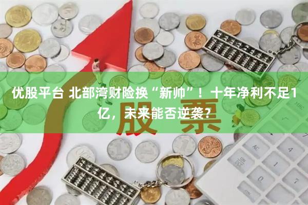优股平台 北部湾财险换“新帅”！十年净利不足1亿，未来能否逆袭？