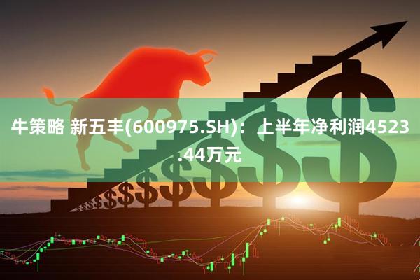 牛策略 新五丰(600975.SH)：上半年净利润4523.44万元